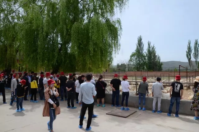 008PG国际(中国区)-官方网站