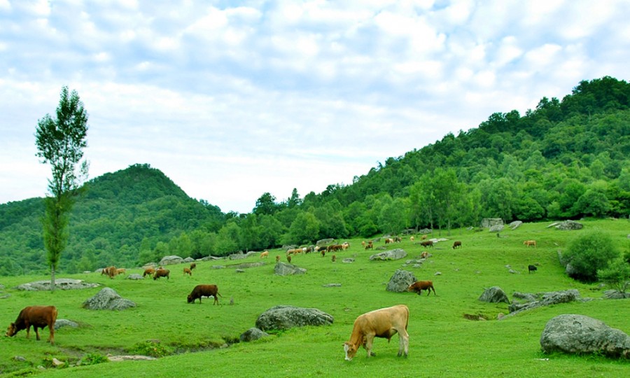 008PG国际(中国区)-官方网站