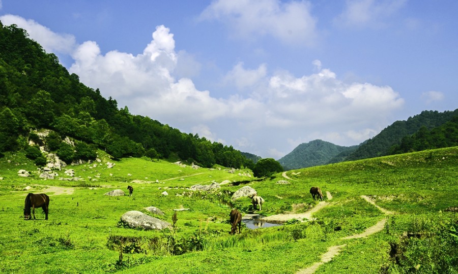 008PG国际(中国区)-官方网站