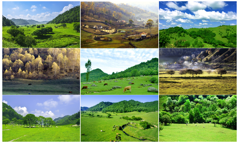 008PG国际(中国区)-官方网站