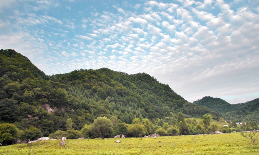 008PG国际(中国区)-官方网站