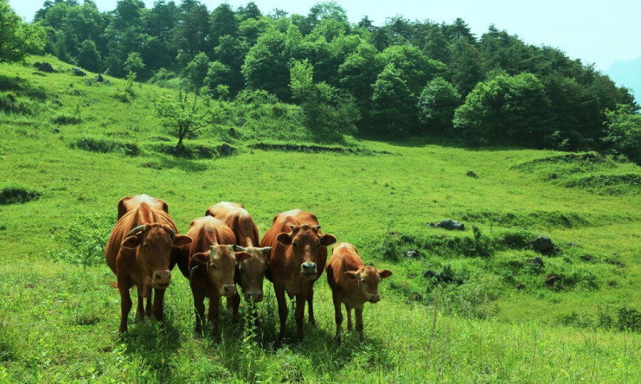008PG国际(中国区)-官方网站