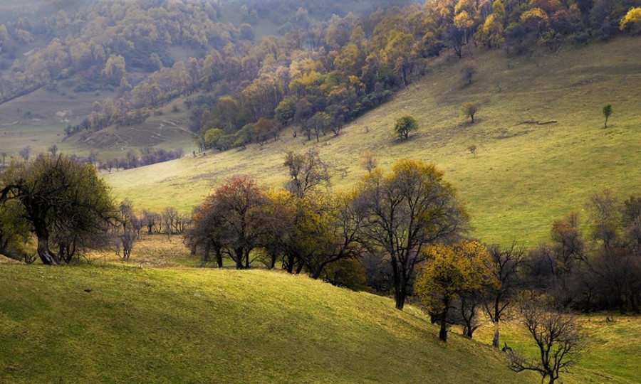 008PG国际(中国区)-官方网站