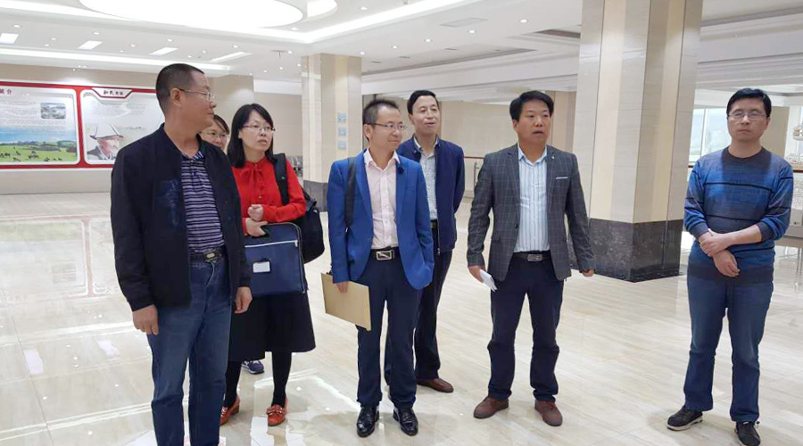 008PG国际(中国区)-官方网站