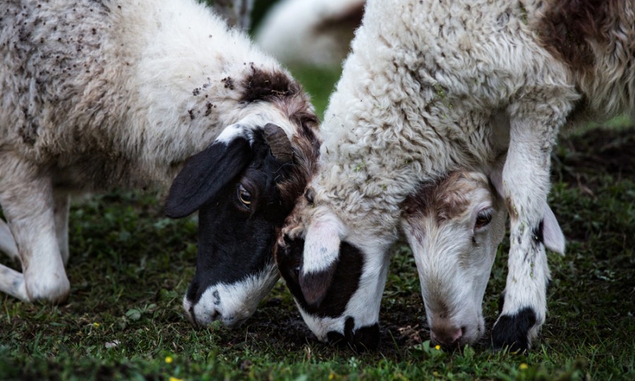 008PG国际(中国区)-官方网站