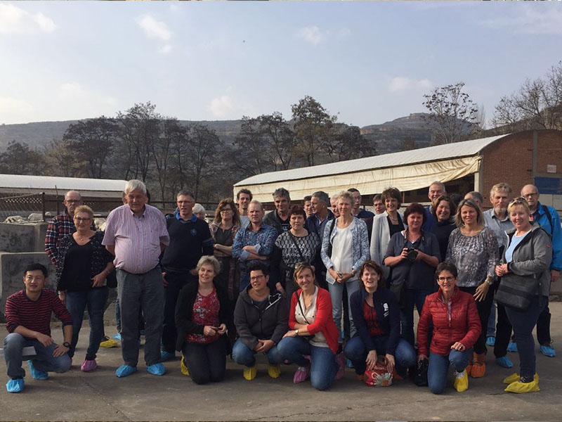 008PG国际(中国区)-官方网站