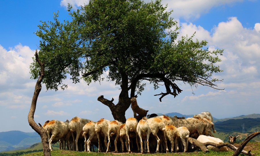 008PG国际(中国区)-官方网站