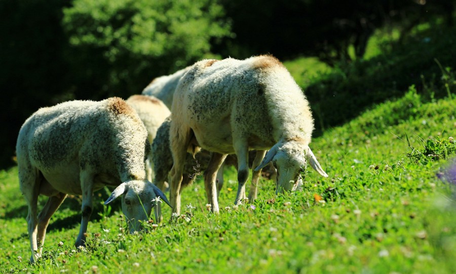 008PG国际(中国区)-官方网站