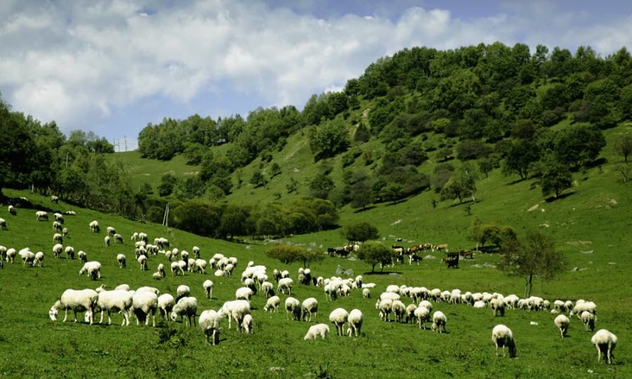 008PG国际(中国区)-官方网站