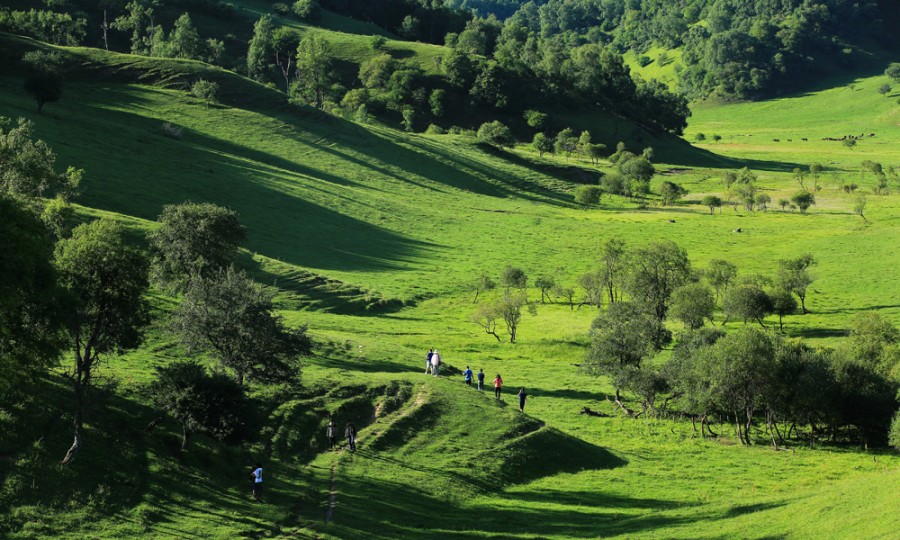 008PG国际(中国区)-官方网站