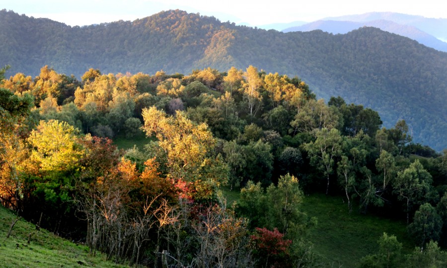 008PG国际(中国区)-官方网站