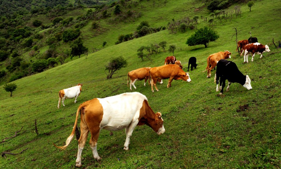 008PG国际(中国区)-官方网站