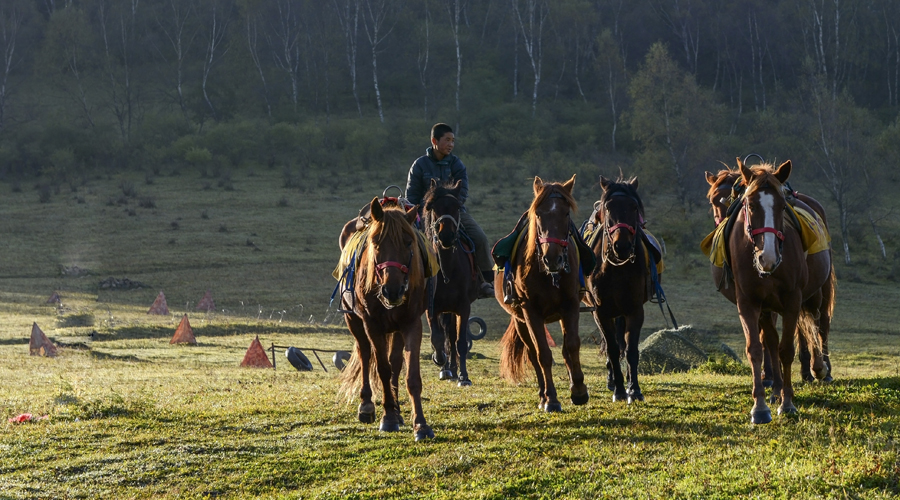 008PG国际(中国区)-官方网站
