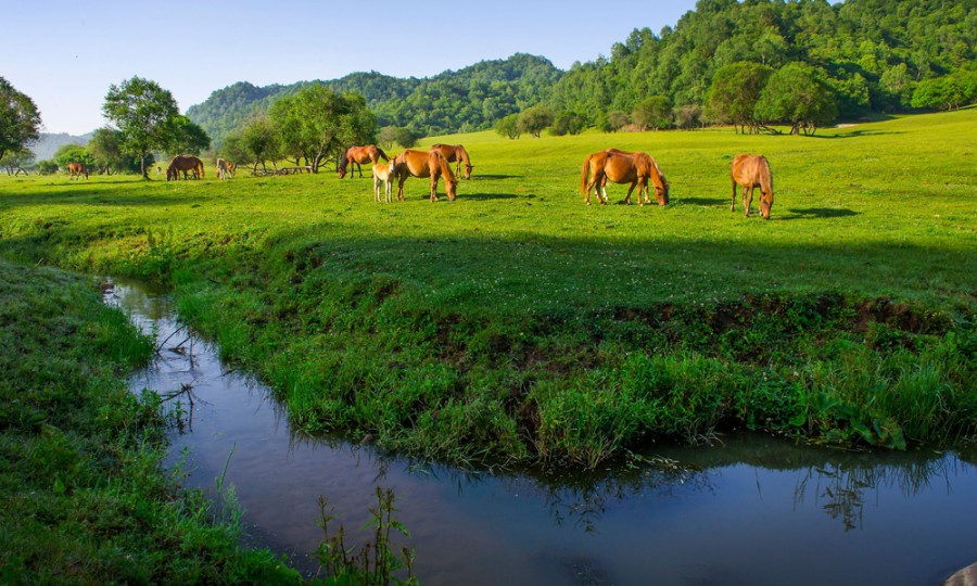 008PG国际(中国区)-官方网站