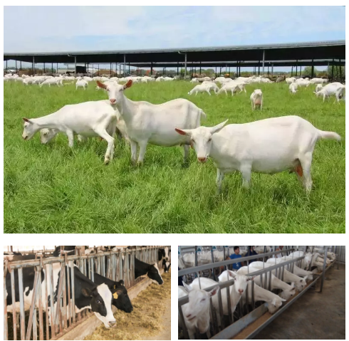 008PG国际(中国区)-官方网站