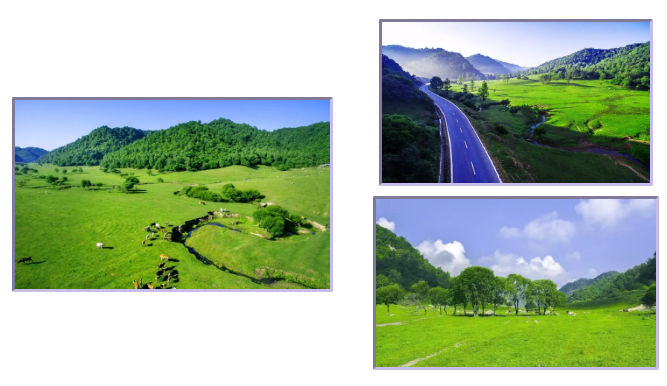 008PG国际(中国区)-官方网站