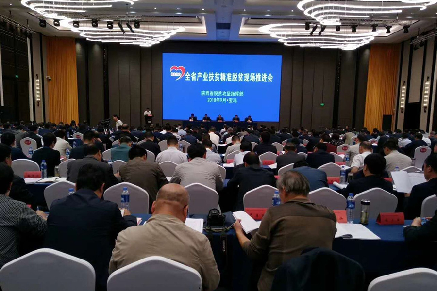 008PG国际(中国区)-官方网站