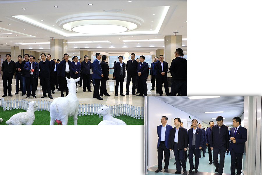 008PG国际(中国区)-官方网站