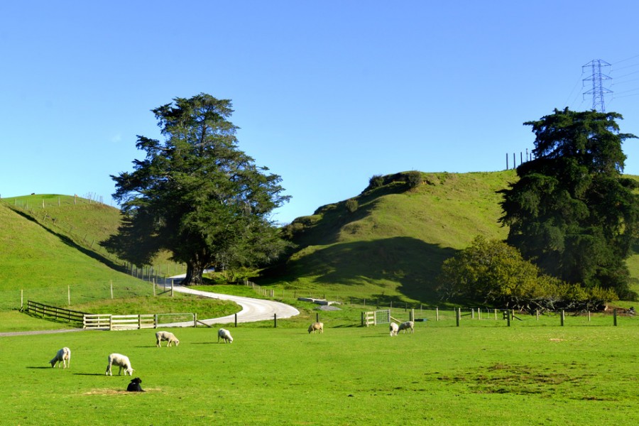 008PG国际(中国区)-官方网站