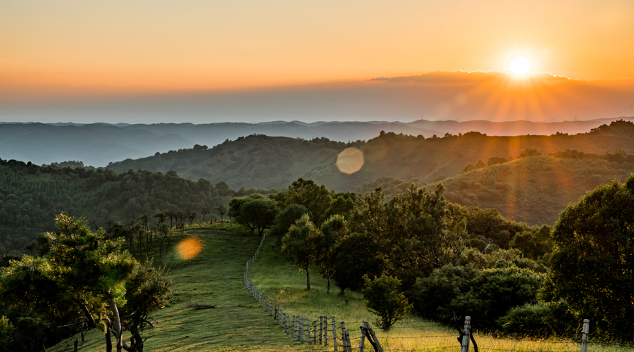 008PG国际(中国区)-官方网站