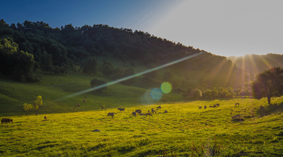 008PG国际(中国区)-官方网站