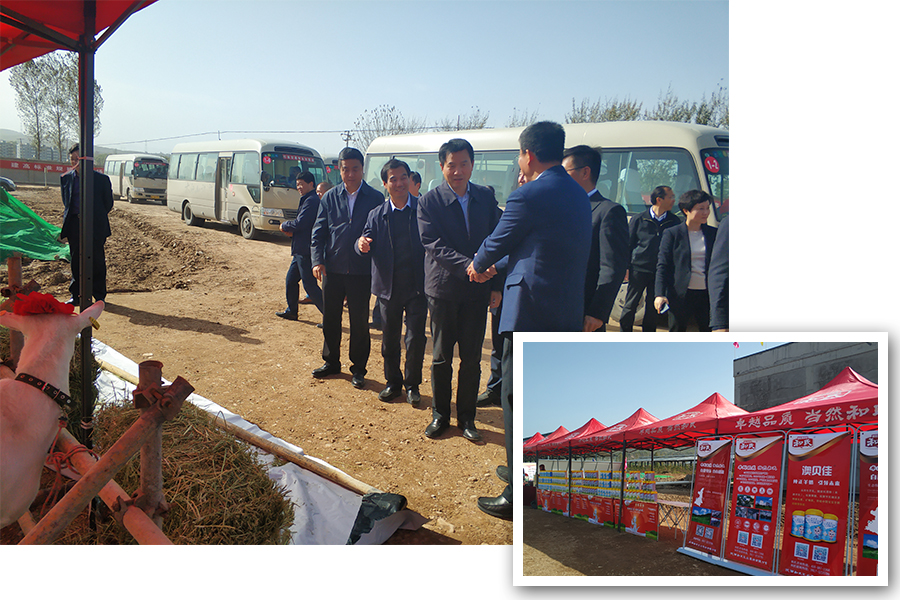 008PG国际(中国区)-官方网站