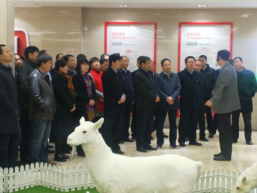 008PG国际(中国区)-官方网站