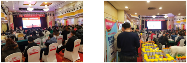 008PG国际(中国区)-官方网站