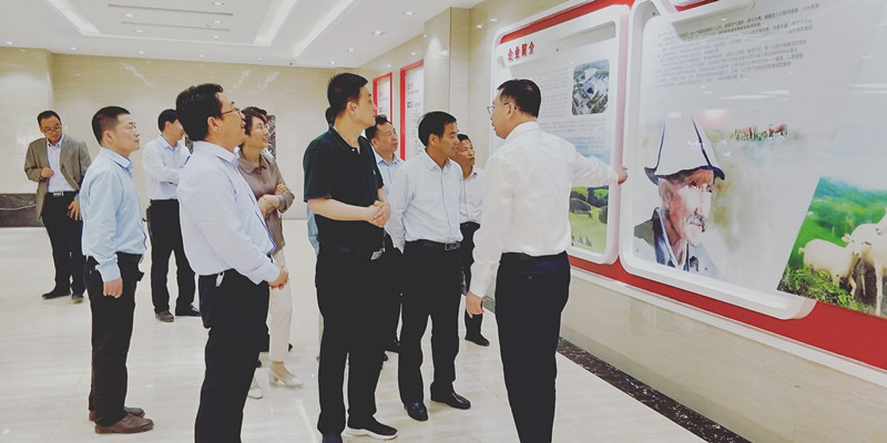 008PG国际(中国区)-官方网站