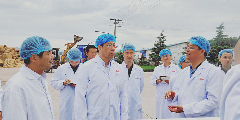 008PG国际(中国区)-官方网站