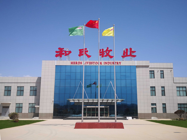 008PG����(�й���)-�ٷ���վ