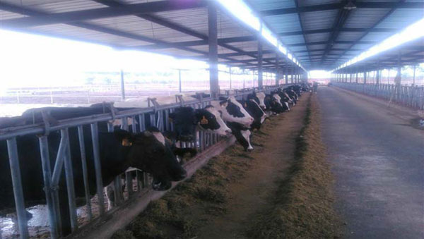 008PG国际(中国区)-官方网站