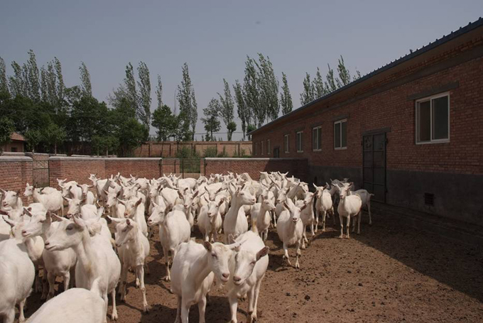 008PG国际(中国区)-官方网站