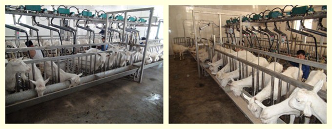 008PG国际(中国区)-官方网站