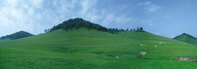 008PG国际(中国区)-官方网站