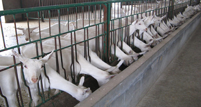 008PG国际(中国区)-官方网站