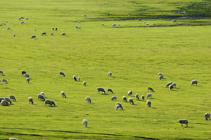 008PG国际(中国区)-官方网站