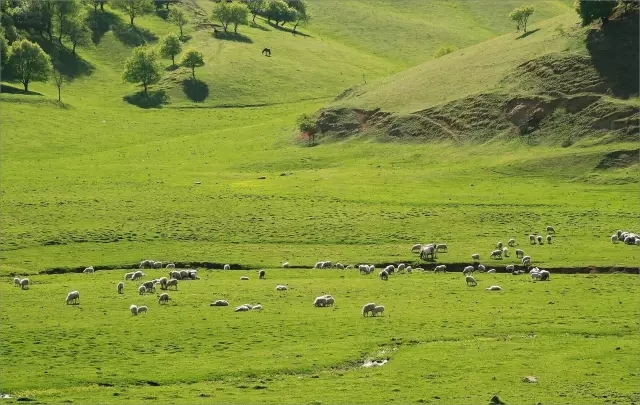 008PG国际(中国区)-官方网站