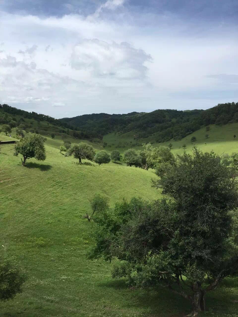 008PG国际(中国区)-官方网站