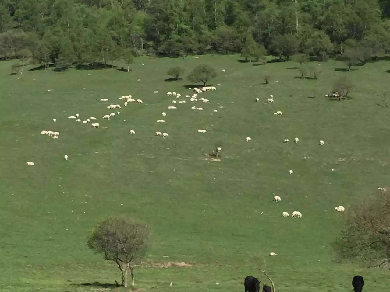 008PG国际(中国区)-官方网站