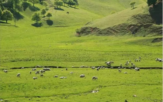 008PG国际(中国区)-官方网站