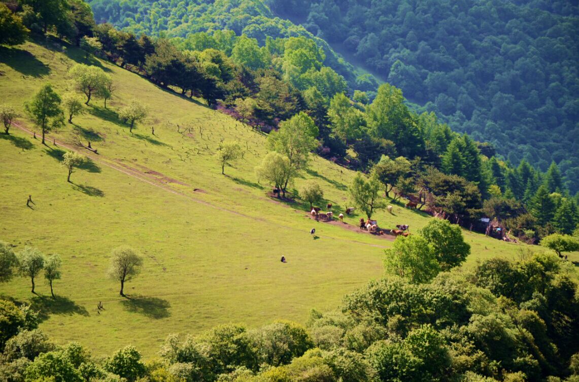 008PG国际(中国区)-官方网站