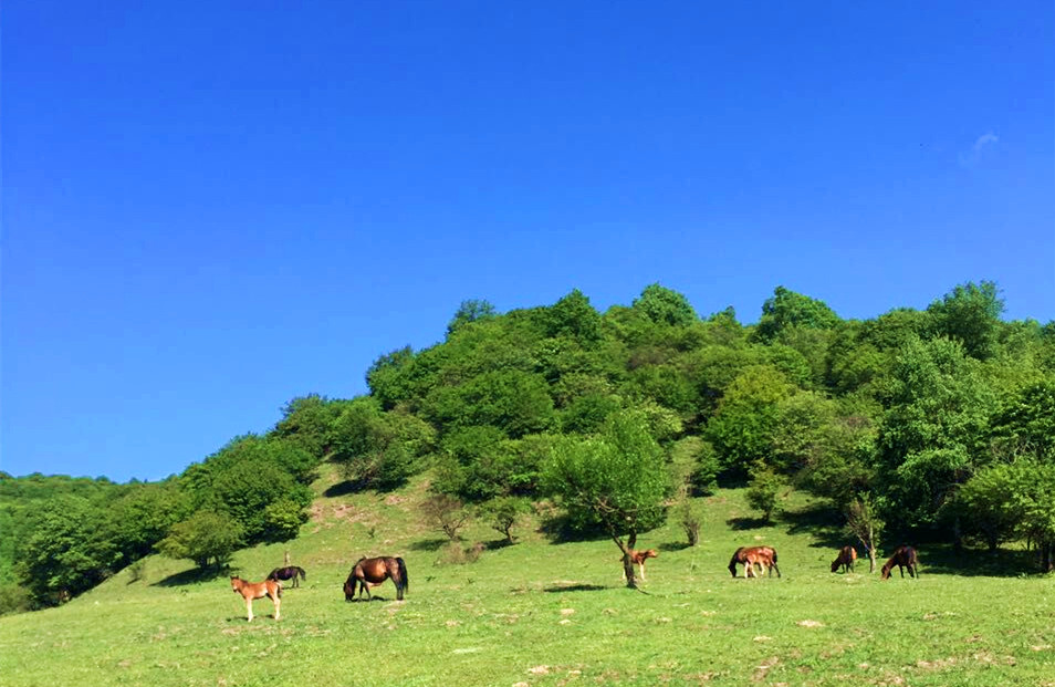 008PG国际(中国区)-官方网站