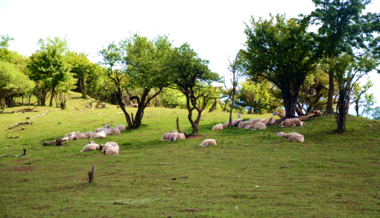 008PG国际(中国区)-官方网站