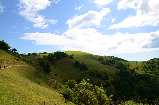 008PG国际(中国区)-官方网站