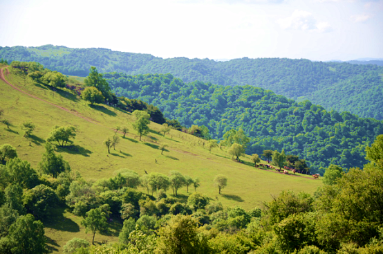008PG国际(中国区)-官方网站