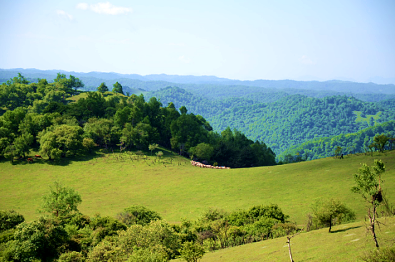 008PG国际(中国区)-官方网站