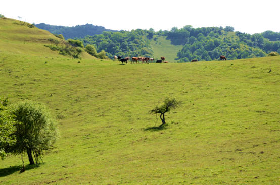 008PG国际(中国区)-官方网站