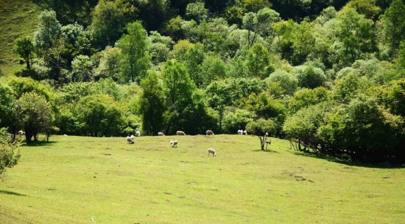 008PG国际(中国区)-官方网站