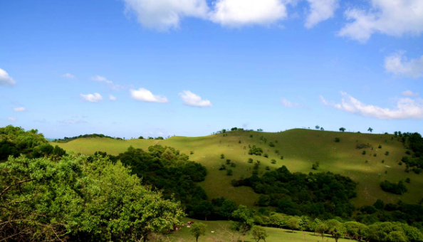 008PG国际(中国区)-官方网站